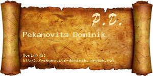 Pekanovits Dominik névjegykártya